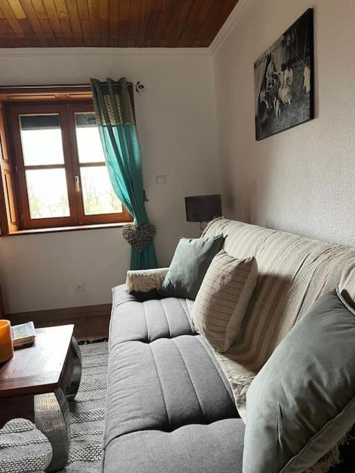 Maison Ray Sur Saone Ray-sur-Saone Εξωτερικό φωτογραφία